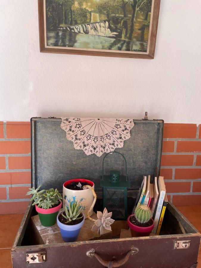 Del Rey Guest House Tomar Εξωτερικό φωτογραφία